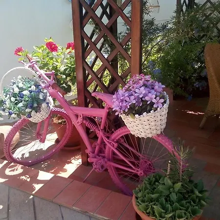 Holiday home Casa Vacanze Sciaraba *